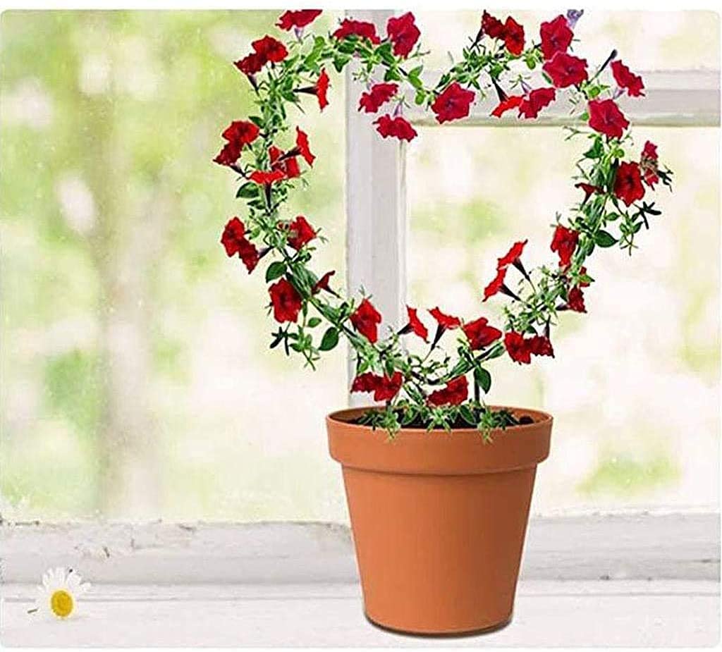 green touch Spe. Edition Decorative Heart Shape Planter Stand,Plant Supporter,Plant Climber,Plant Decore,Garden Decore plant straightener For Home,Kitchen,Terrace,Garden