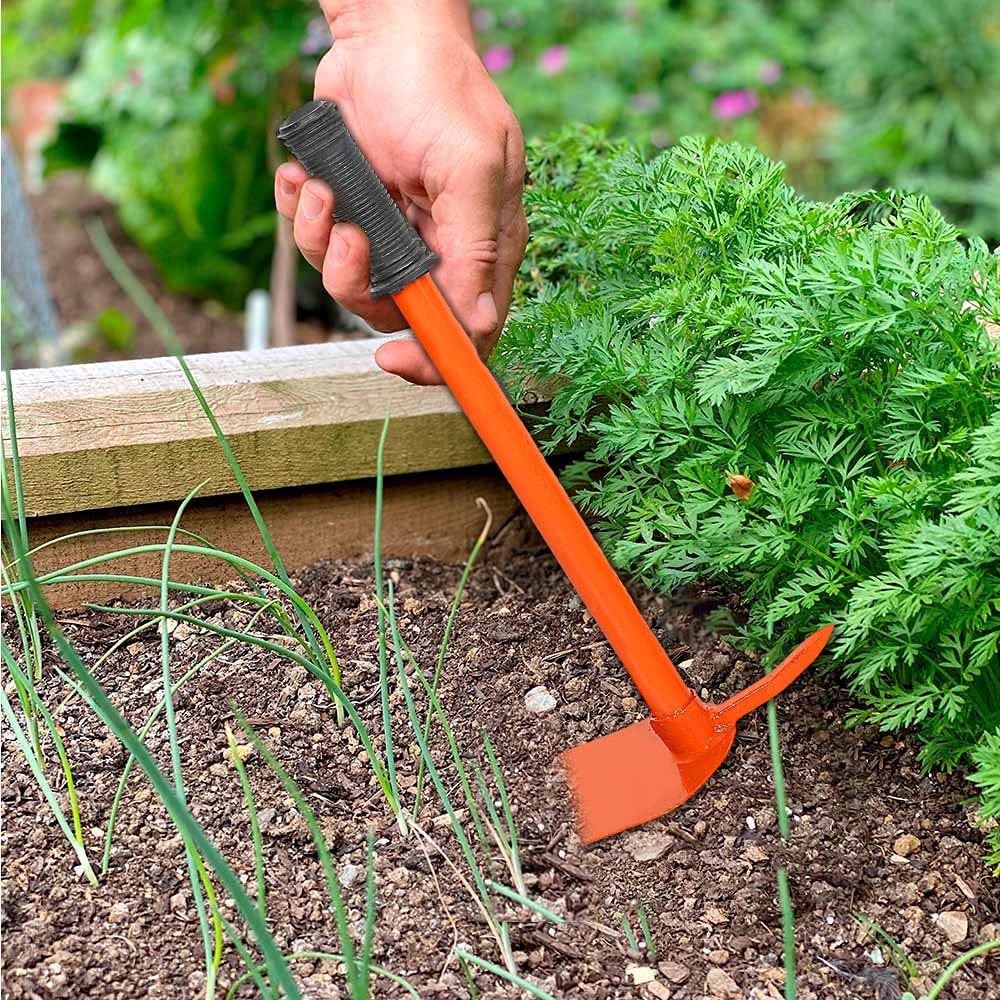 Green Touch Pack of 2 Home Gardening Tools Items Combo Set, Two in Hoe with Prong Tool, n Gloves Clown Garden Tool Kit,Gardening Accessories,Gardening Items,Digging Tools for Soil(Combo Tools 9)