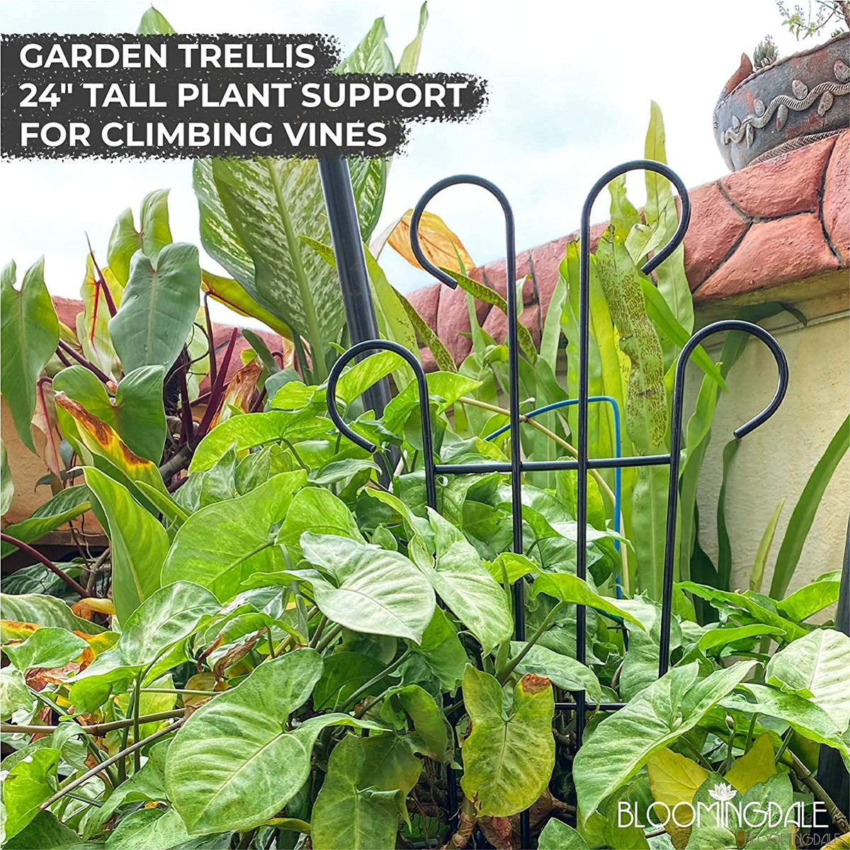 Green Touch Heavy Gauge Plant Support,Plant Straightener,Plant Support Sticks,Plant Climb,Creeper Plant Support,Money Plant Support Stand,Plant Climbing Support,Support Sticks for Plants (Plant Support C)