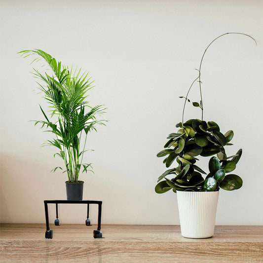 "Heavy Duty Plant Stand with Wheels: Sturdy Iron Construction, 90kg Capacity"