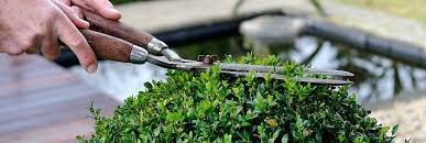 Green Touch  Pack of 3 Gardening Tools Include Gradening Headge Shear, Gardening Glove and Headge Blade Oil Combo