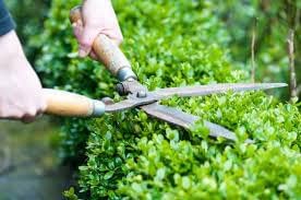 Green Touch  Pack of 3 Gardening Tools Include Gradening Headge Shear, Gardening Glove and Headge Blade Oil Combo