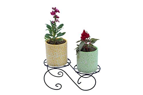 Green Touch Decorative Look Two Tier Plant Pot Stand For Home,Balcony, Office, Kitchen,Plant stand for home balcony,Gamala Pot Stand Stand,Flower Pot Stand decoration item (Pack of 4)