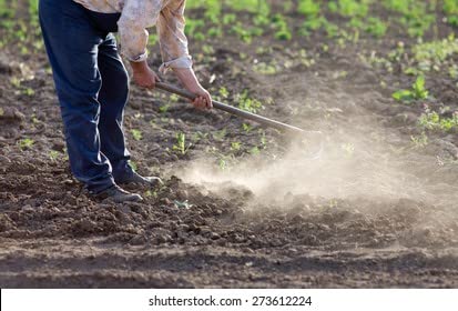 Green Touch  Weeder Remover,Grass Remover,Garden Grass Remover,Farm lawn Reor Tiller,Agutter,DiiggingTmover Agricuture hoe,Garden Gardeningricuture Garden Axe,Grass Cutter Curved Pruner,Wooden Cutter,Fish C, (Agri Hoe Without handle)