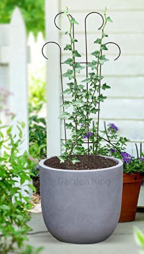 Green Touch  Heavy Gauge Plant Support,Plant Straightener,Plant Support Sticks,Plant Climb,Creeper Plant Support,Money Plant Support Stand,Plant Climbing Support,Support Sticks for Plants (Plant Support F)