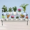 Green Touch 2 Step Stand for Multiple Plants and Pots Stand, Indoor Shelf Holder Rack, Gardening Stand,Indoor Outdoor (Black) with Hand Gardening Tools