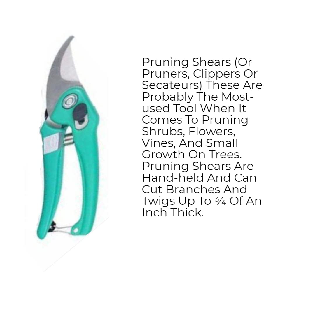 Green Touch  Combo of 5 Garden Tool Set Includes, Garden Hoe, Garden Tiller, Harden Hand Hoe,Gloves - Set of Required Tools