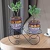 Green Touch  Decorative Look Two Tier Plant Pot Stand For Home,Balcony, Office, Kitchen,Plant stand for home balcony,Gamala Pot Stand Stand,Flower Pot Stand decoration item (Pack of 2)