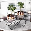 Green Touch  Decorative Look Two Tier Plant Pot Stand For Home,Balcony, Office, Kitchen,Plant stand for home balcony,Gamala Pot Stand Stand,Flower Pot Stand decoration item (Pack of 2)