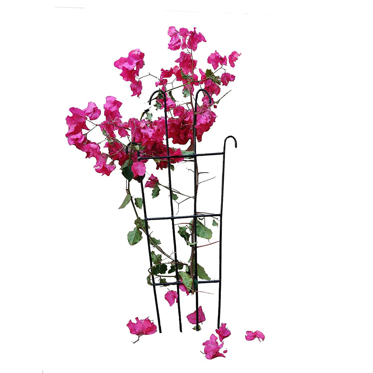 Green Touch  Heavy Gauge Plant Support,Plant Straightener,Plant Support Sticks,Plant Climb,Creeper Plant Support,Money Plant Support Stand,Plant Climbing Support,Support Sticks for Plants (Plant Support E)