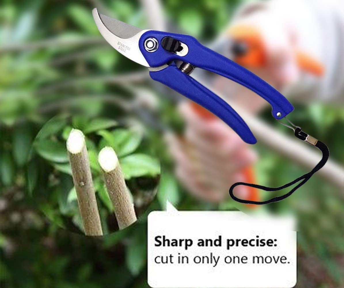 Green Touch  Pack of 6 Useful Gardening Tools Set Combo for Home/Balcony/Terrace/Indoor/Outdoor Gardening,Gardening Tools kit,Garden Sprayer,Grass Hedge Cutter,Garden Gloves,Digging Tool Trowel,Tiller