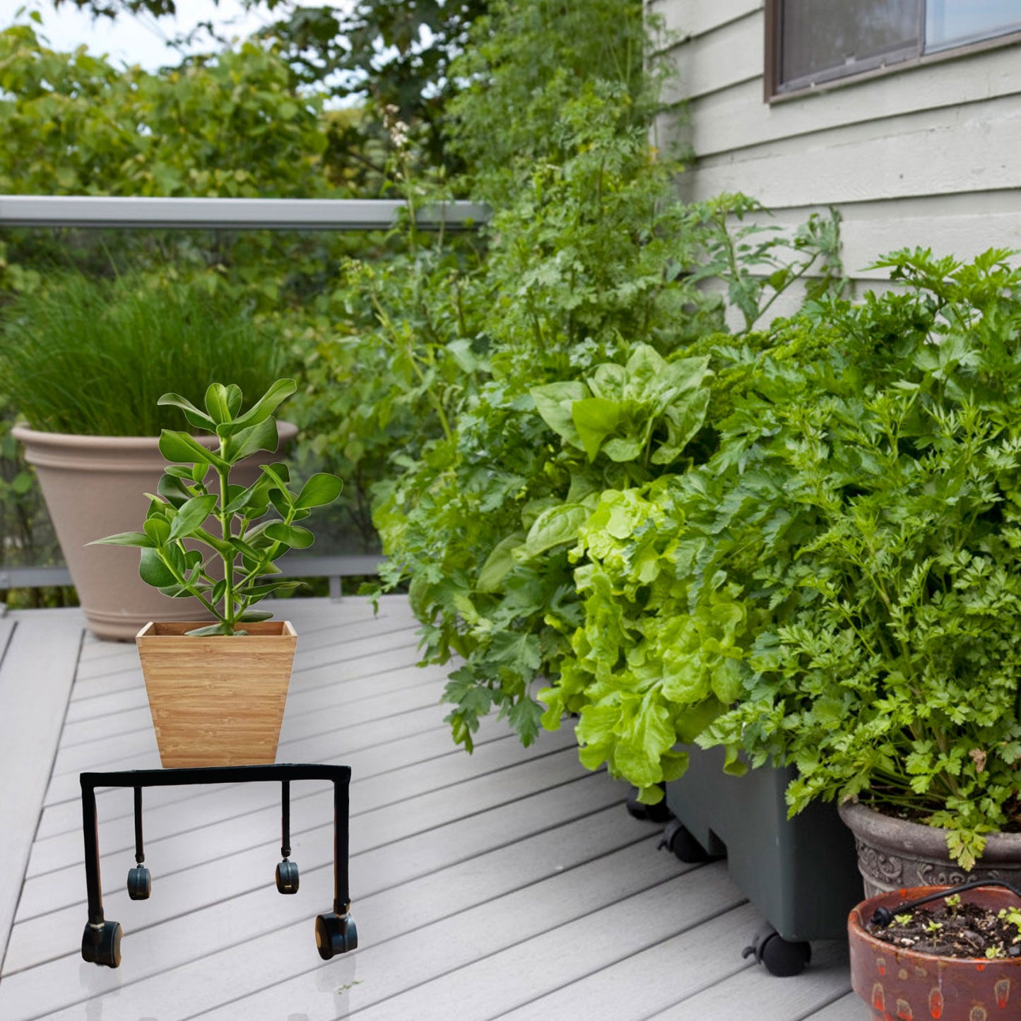 "Heavy Duty Plant Stand with Wheels: Sturdy Iron Construction, 90kg Capacity"