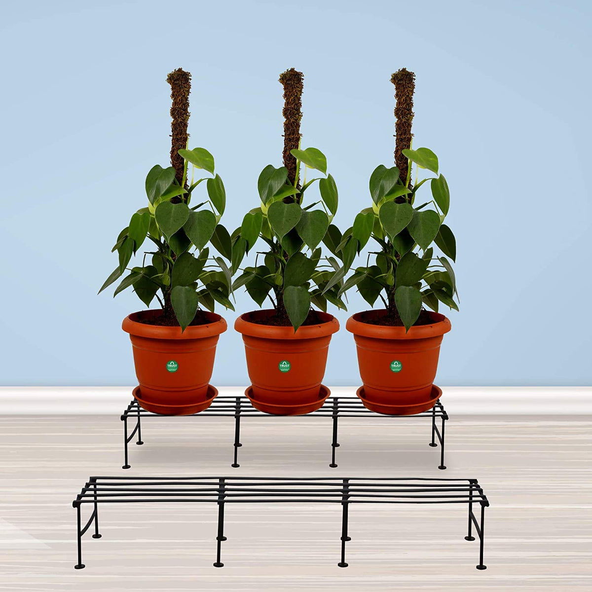 Green Touch Gamala Stand 24 Inch and 7.5 Inch Hieght 4 Ps Plant Stand/Planter Stand