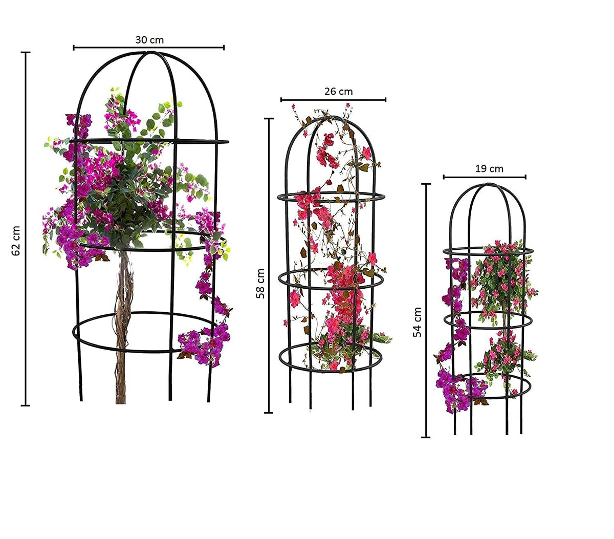 green touch  Pack of 3 Plant Supporter Crips Trellies,Plant Climber Decorative Planter Stand for Indoor and Outdoor,Home,Kitchen,Terrace,Garden,Office,Schools,Hotel,Restaurants, (SPE EDI 8)