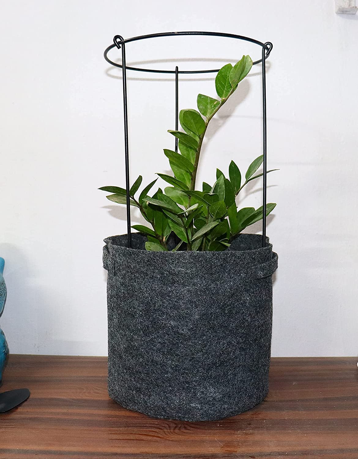 Green Touch  Heavy Gauge Plant Support,Plant Straightener,Plant Support Sticks,Plant Climb,Creeper Plant Support,Money Plant Support Stand,Plant Climbing Support,Support Sticks for Plants (Plant Suppport D)