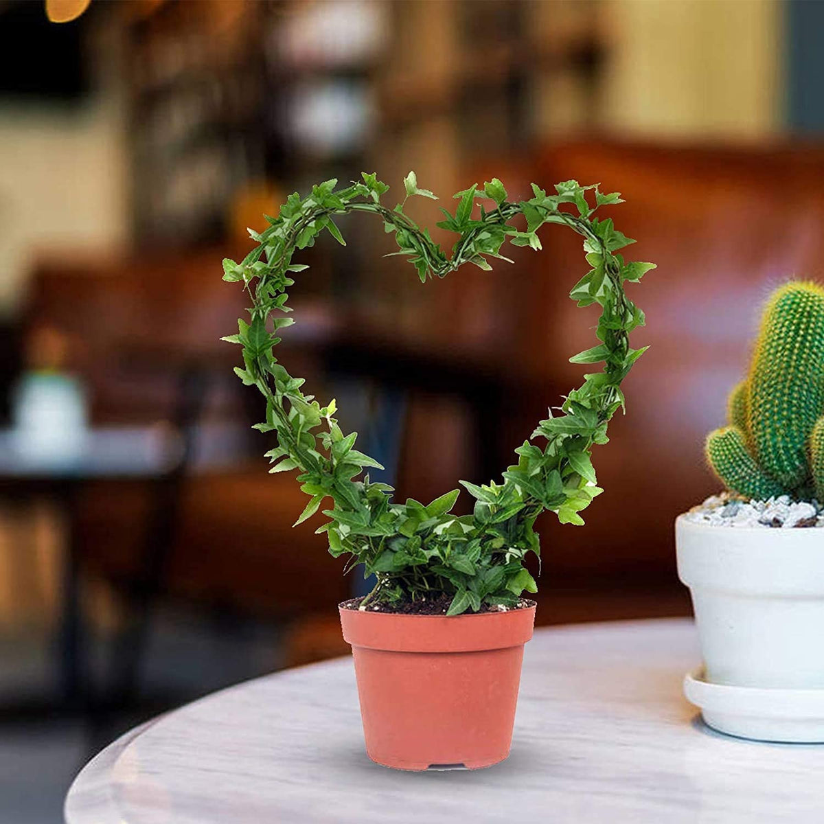 green touch  Spe. Edition Decorative Heart Shape Planter Stand,Plant Supporter,Plant Climber,Plant Decore,Garden Decore plant straightener For Home,Kitchen,Terrace,Garden