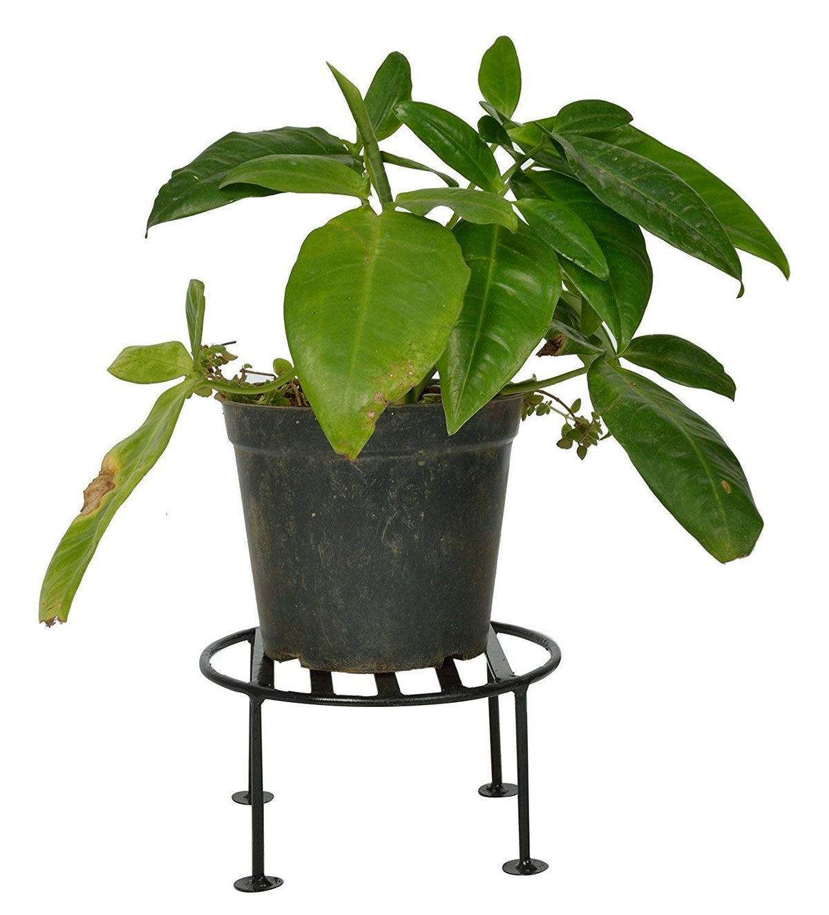 Green Touch Garden Tool Set Includes, Garden Hoe, Garden Tiller, Harden Hand Hoe with Pack of 4 Iron Indoor/Outdoor Flower Pot/Plant Stand for Home Garden Balcony Living Room Decor.