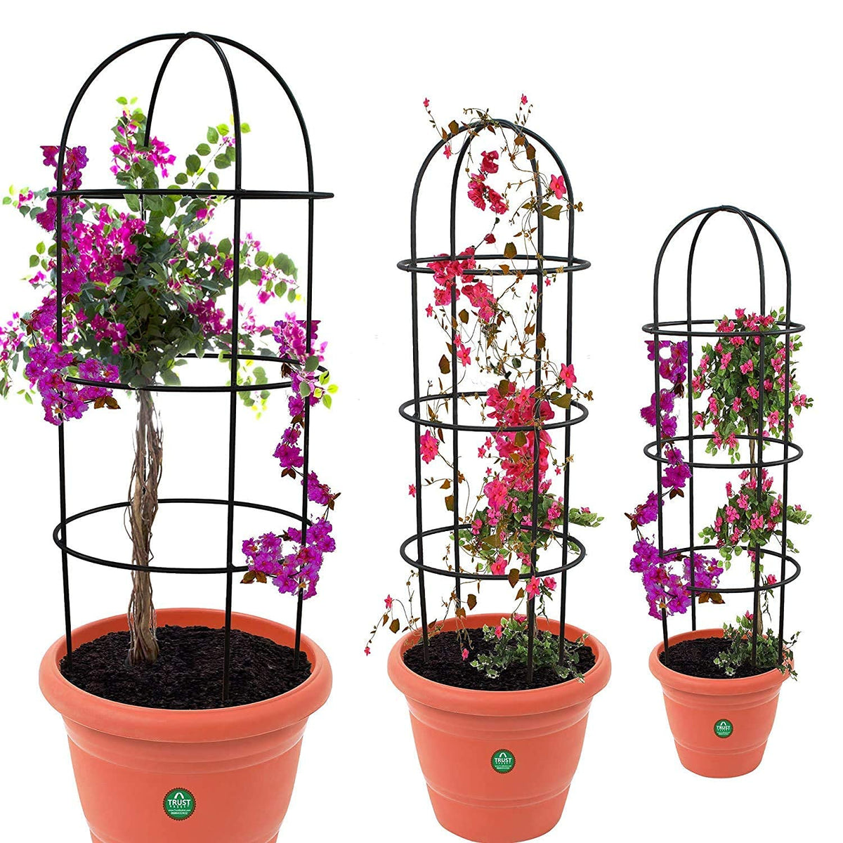 Green Touch Plant Straighteners with Free Hedge Cutter, Obelisk Trellis for Plant Support