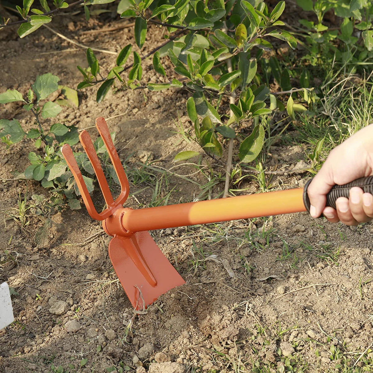 Green Touch Two in 1 Garden Tool 17 inch Hoe with 3 Prong, Required Tool for Indoor and Outdoor Garden