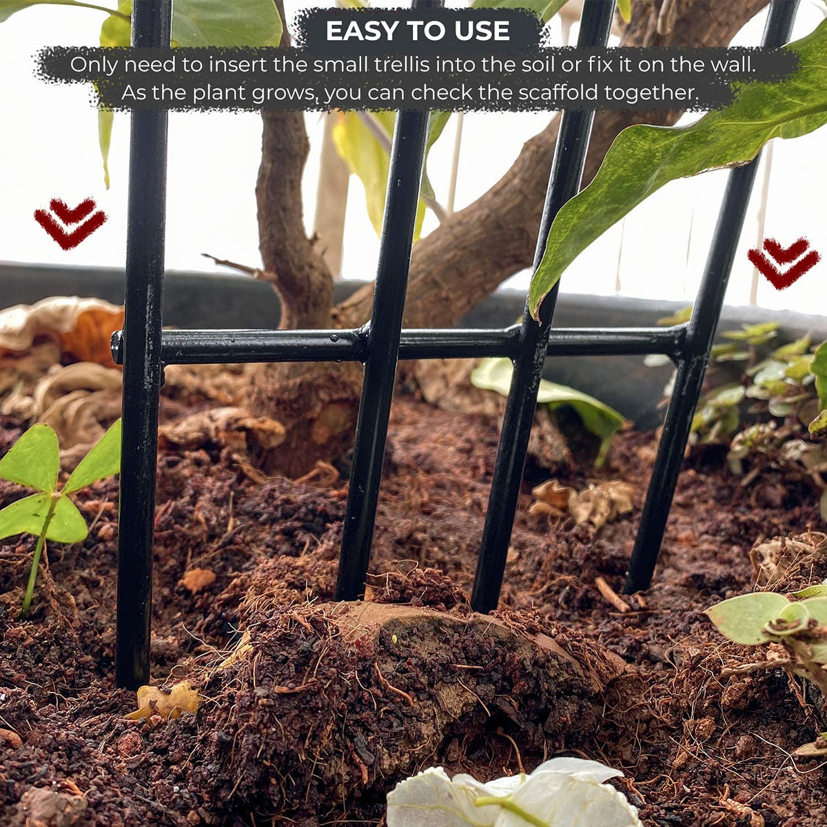 Green Touch  Heavy Gauge Plant Support,Plant Straightener,Plant Support Sticks,Plant Climb,Creeper Plant Support,Money Plant Support Stand,Plant Climbing Support,Support Sticks for Plants (Plant Support E)