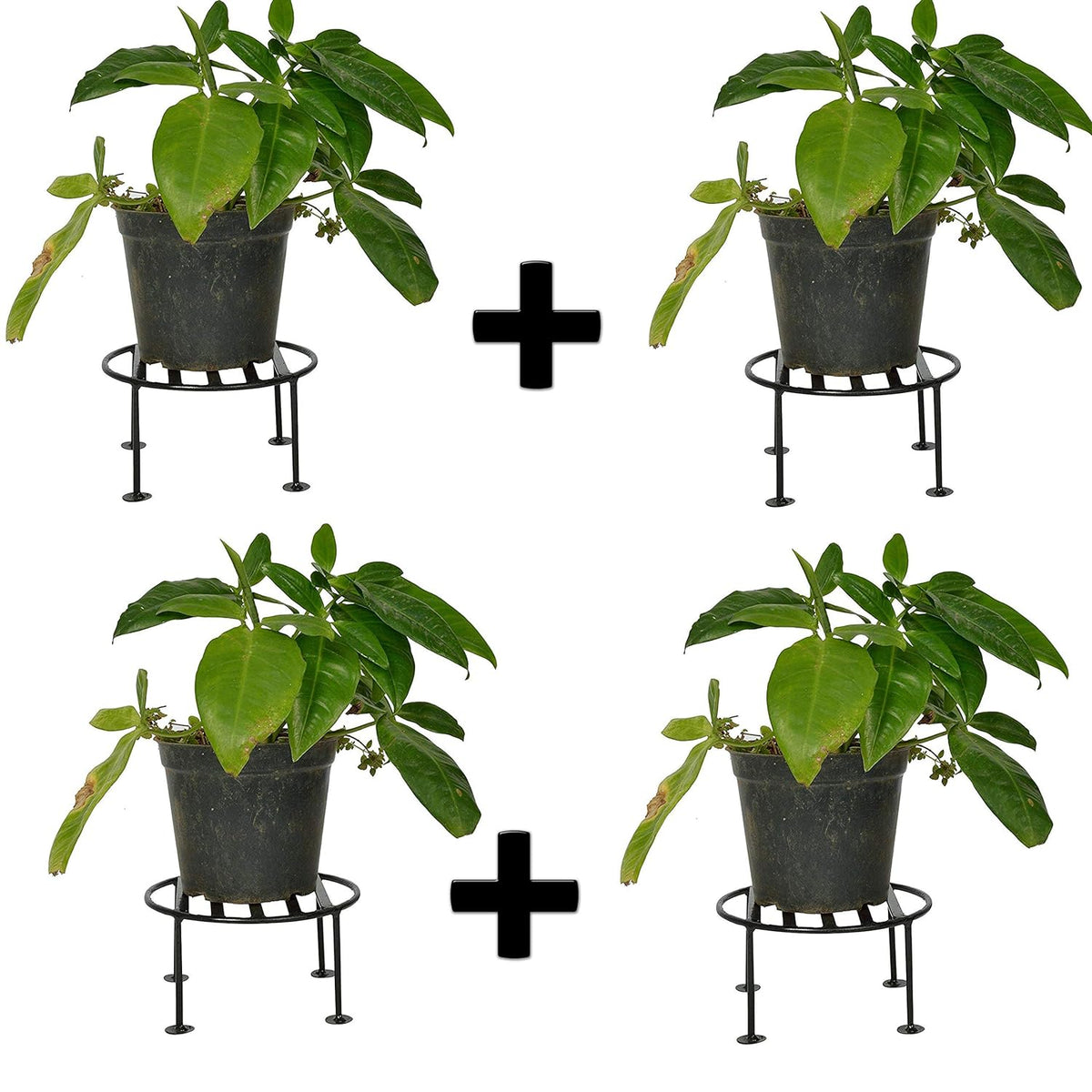 Green Touch Garden Tool Set Includes, Garden Hoe, Garden Tiller, Harden Hand Hoe with Pack of 4 Iron Indoor/Outdoor Flower Pot/Plant Stand for Home Garden Balcony Living Room Decor.