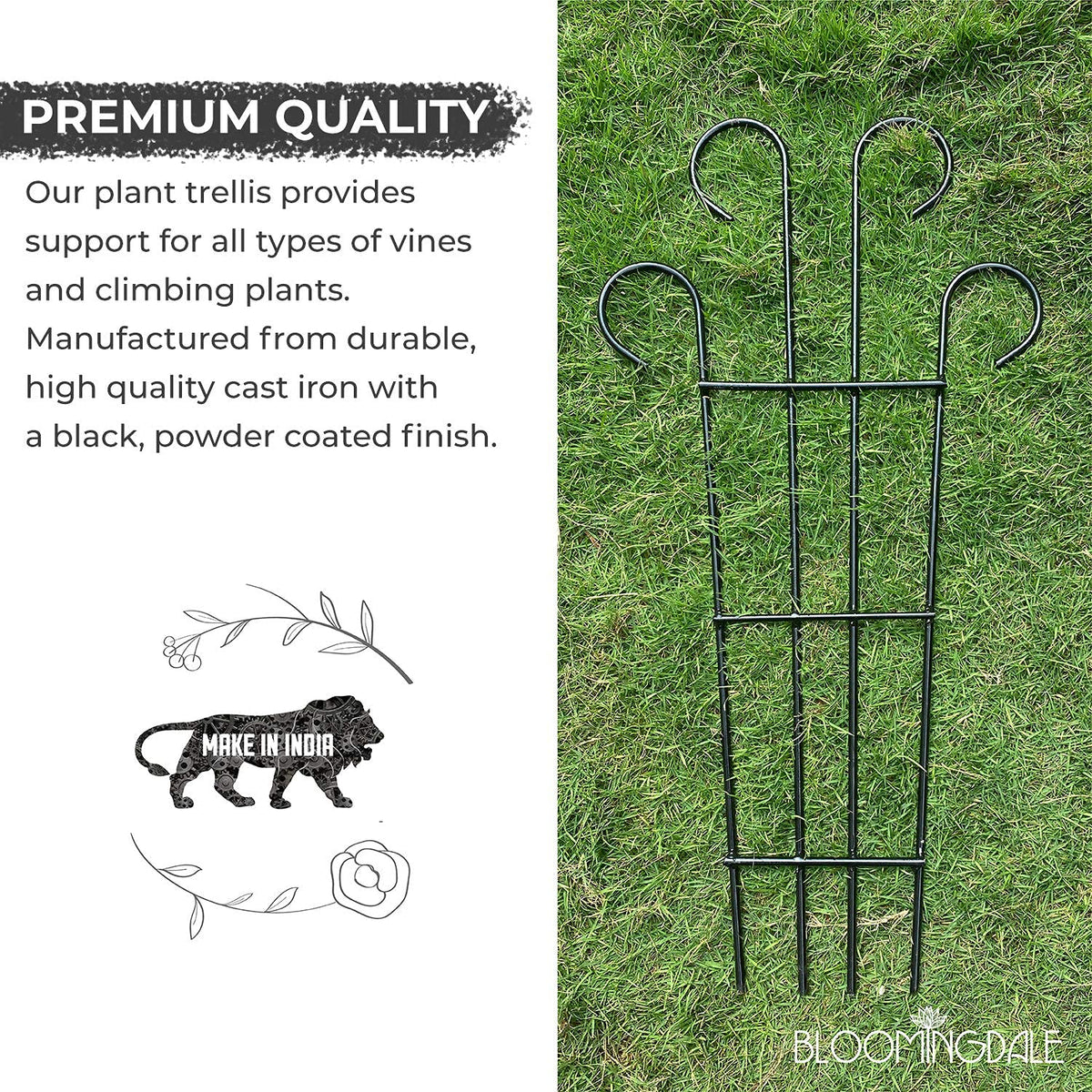 Green Touch  Heavy Gauge Plant Support,Plant Straightener,Plant Support Sticks,Plant Climb,Creeper Plant Support,Money Plant Support Stand,Plant Climbing Support,Support Sticks for Plants (Plant Support C)