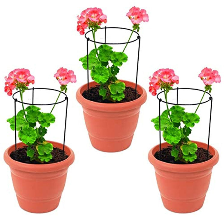 Green Touch Pack of 3 Heavy Gauge Plant Support,plant straightener,plant support sticks,Plant Climb,creeper plant support,money plant support stand,plant climbing support,support sticks for plants (Plant Support B)