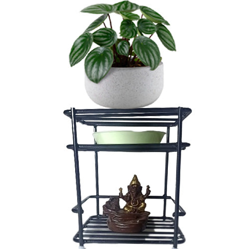 green touch Matka Stand for Water Pot | Water pot Stand for kitchen | Matka Pot Stand, Water Dispense