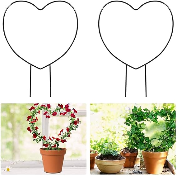 green touch  Spe. Edition Decorative Heart Shape Planter Stand,Plant Supporter,Plant Climber,Plant Decore,Garden Decore plant straightener For Home,Kitchen,Terrace,Garden