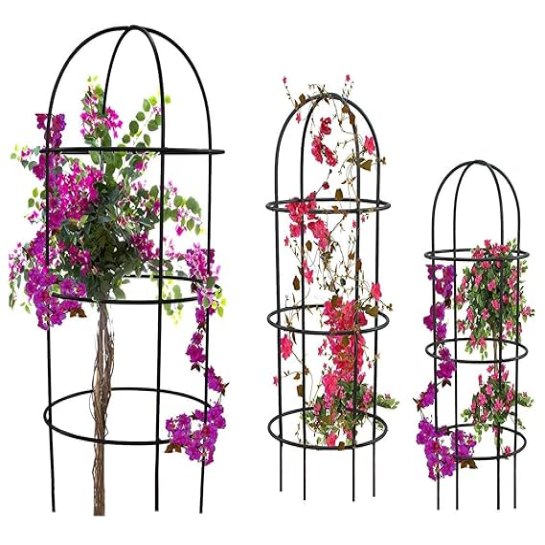 green touch  Pack of 3 Plant Supporter Crips Trellies,Plant Climber Decorative Planter Stand for Indoor and Outdoor,Home,Kitchen,Terrace,Garden,Office,Schools,Hotel,Restaurants, (SPE EDI 8)